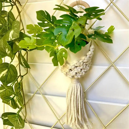 Colourful Macrame Wall Hanging Air Plant Holder