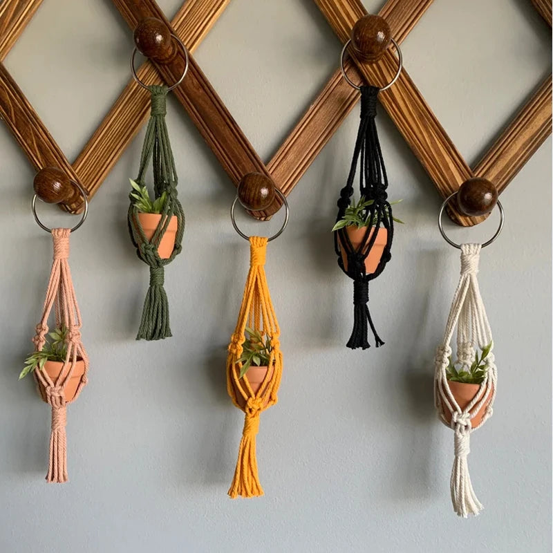 Mini Macrame Air Plant Holder - Various Colors