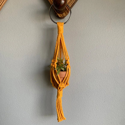 Mini Macrame Air Plant Holder - Various Colors