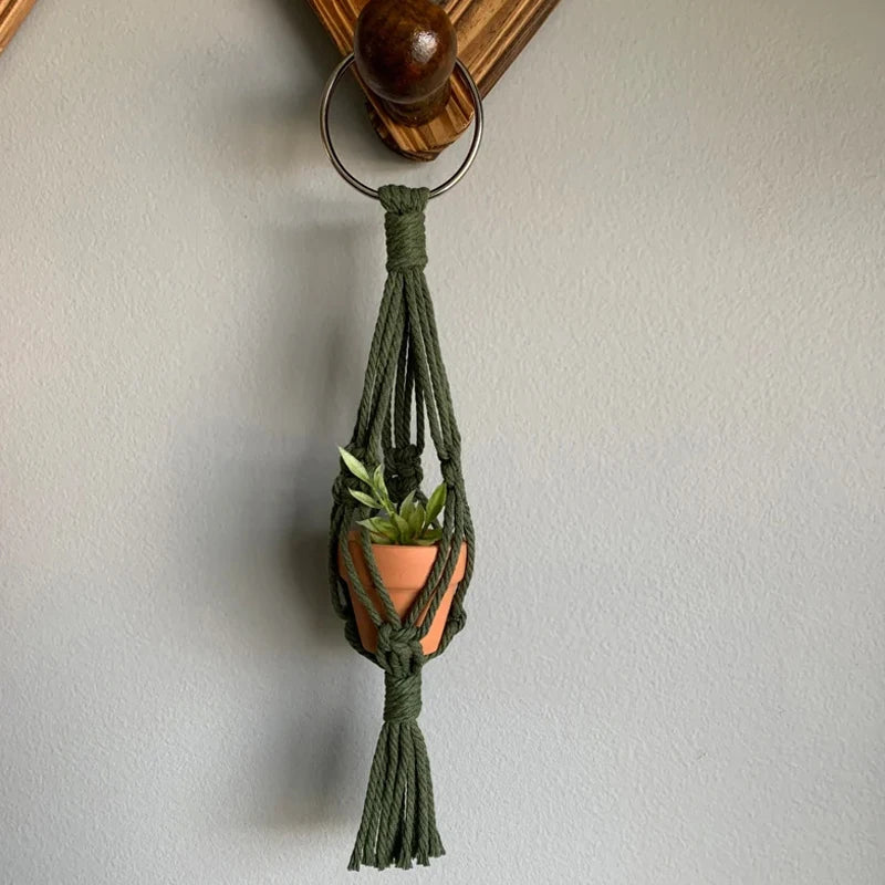 Mini Macrame Air Plant Holder - Various Colors