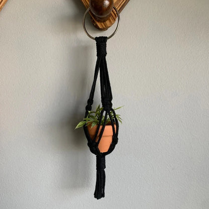 Mini Macrame Air Plant Holder - Various Colors