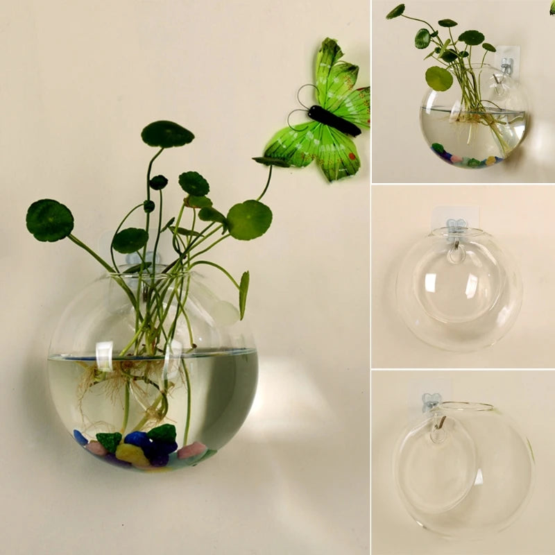 Hydroponic Glass Vase Fish Tank